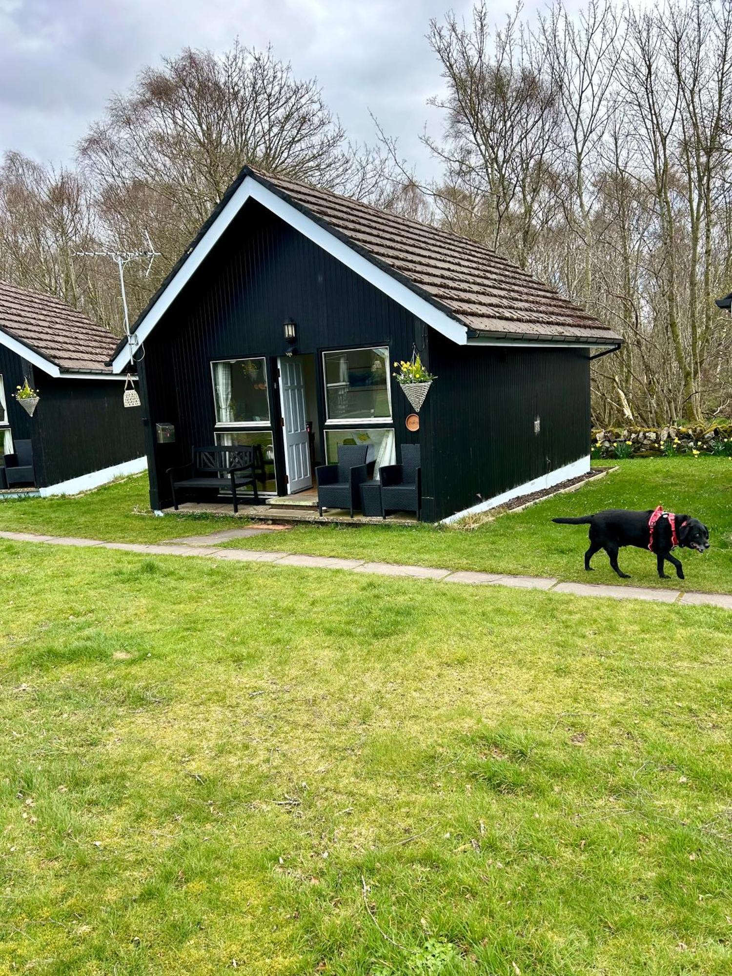 Kilcoy Chalets Muir of Ord Exterior photo